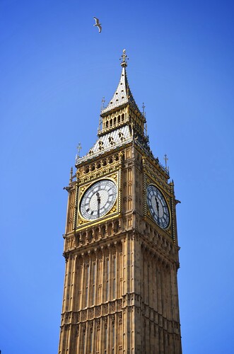 big-ben-bird