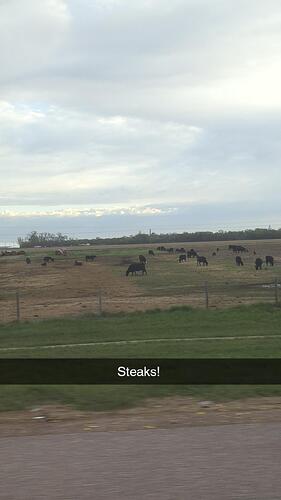 nebraska-steaks