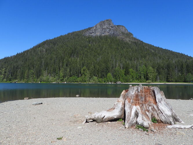 Looking up to Rattlesnake Ledge